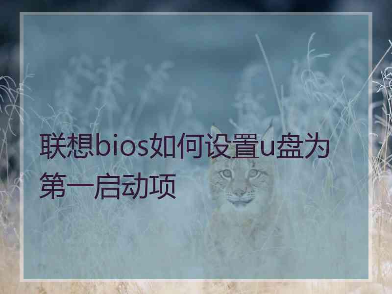 联想bios如何设置u盘为第一启动项