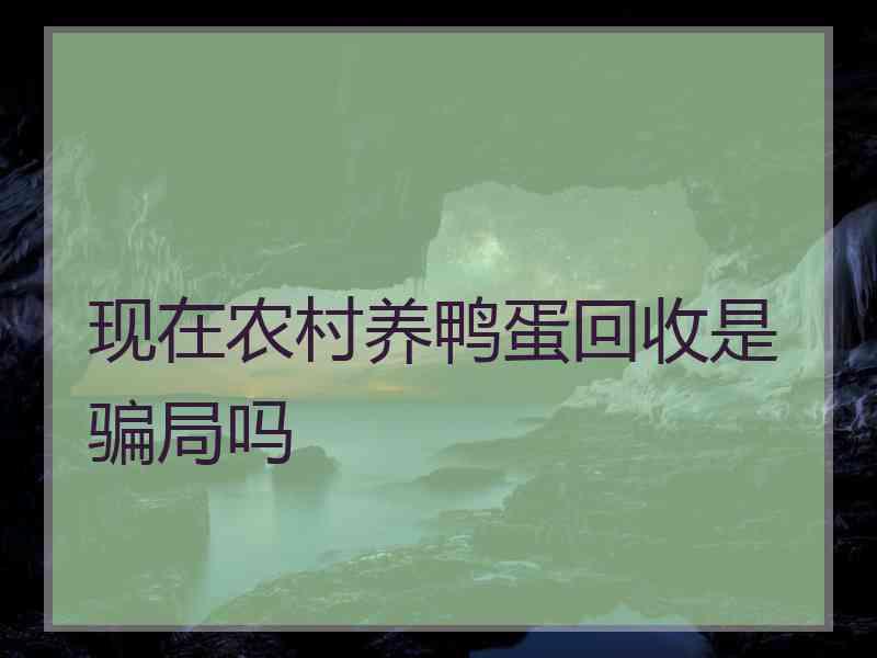 现在农村养鸭蛋回收是骗局吗