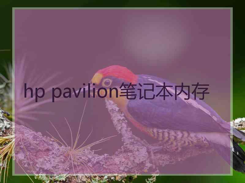 hp pavilion笔记本内存