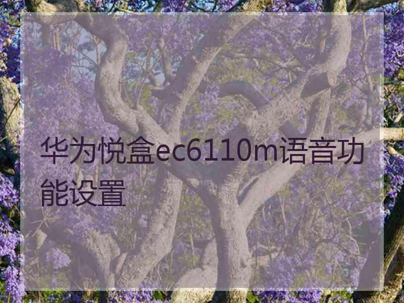 华为悦盒ec6110m语音功能设置