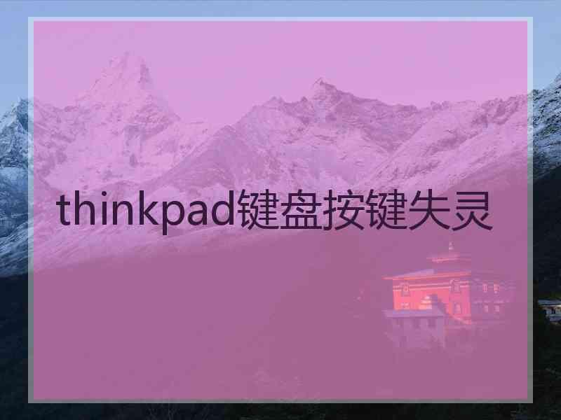 thinkpad键盘按键失灵