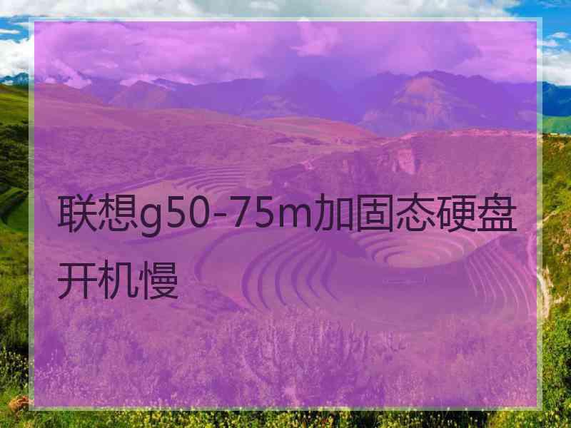 联想g50-75m加固态硬盘开机慢