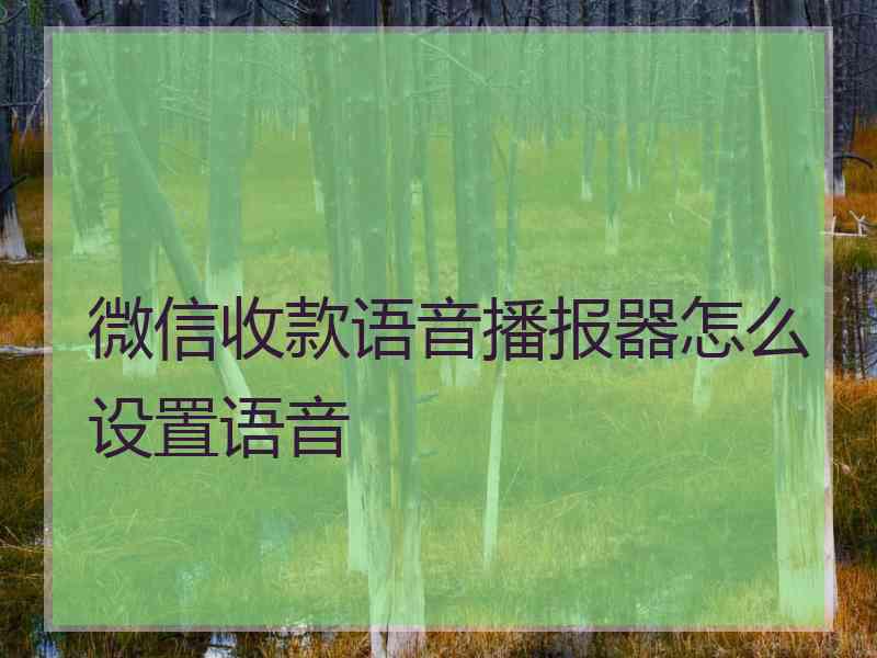 微信收款语音播报器怎么设置语音