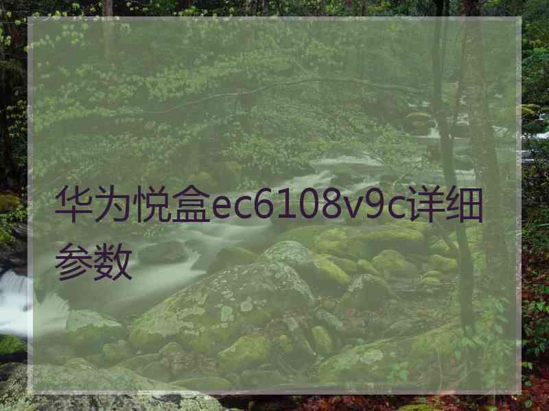 华为悦盒ec6108v9c详细参数