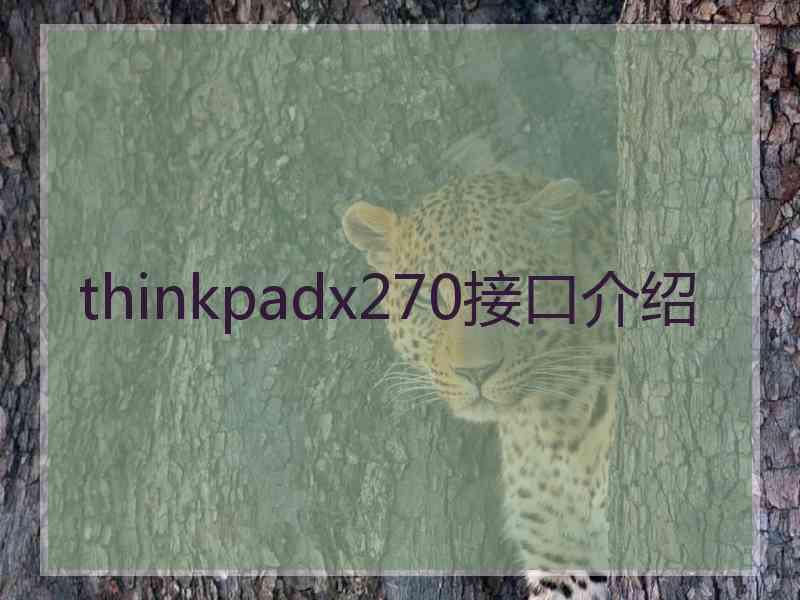 thinkpadx270接口介绍