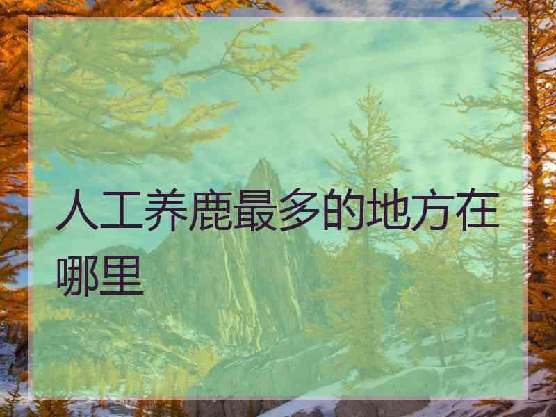 人工养鹿最多的地方在哪里