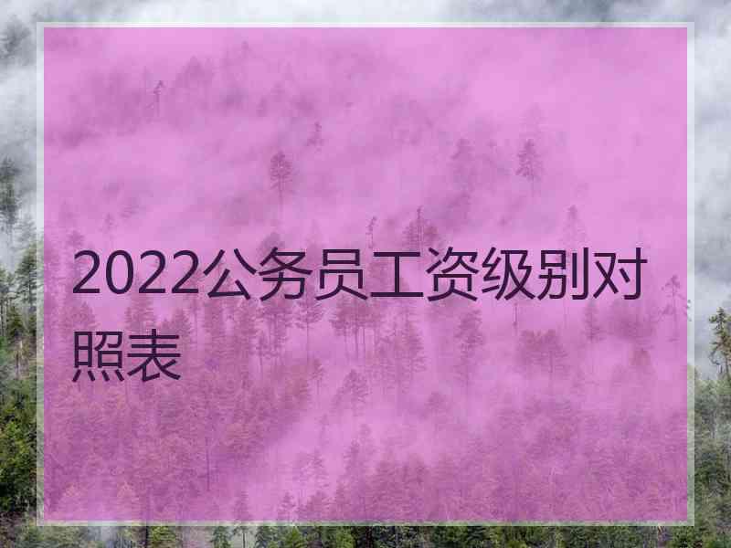 2022公务员工资级别对照表