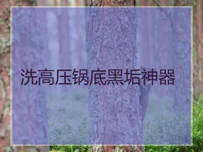 洗高压锅底黑垢神器