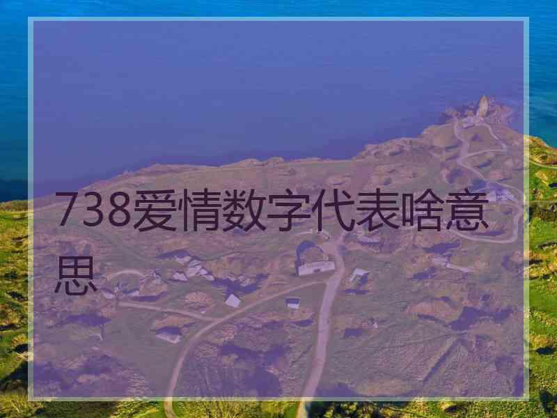 738爱情数字代表啥意思