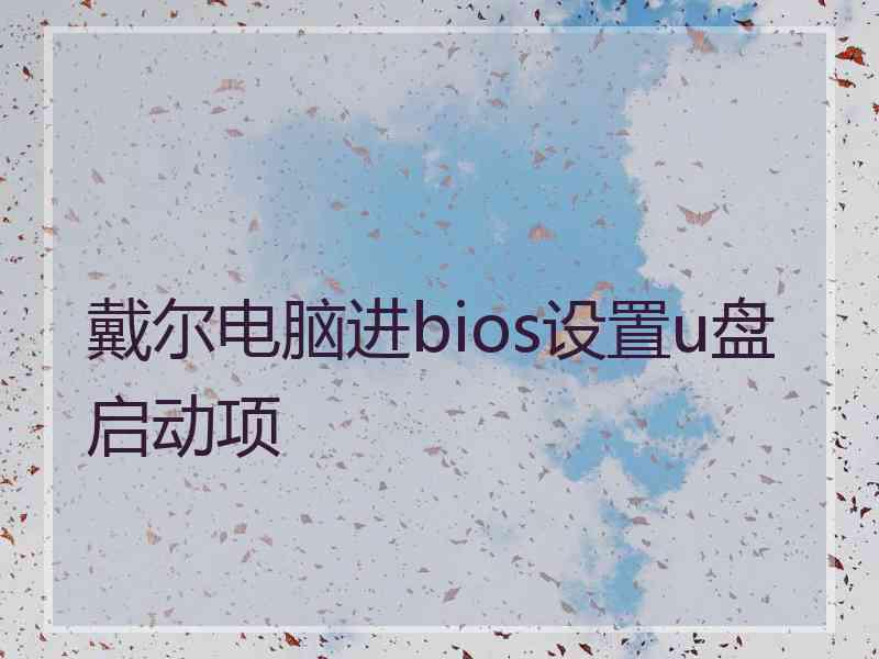 戴尔电脑进bios设置u盘启动项