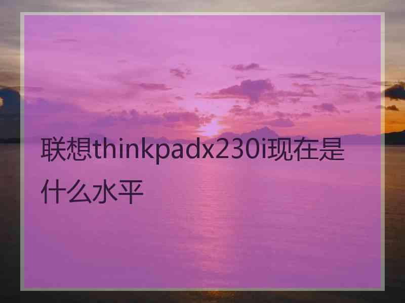 联想thinkpadx230i现在是什么水平