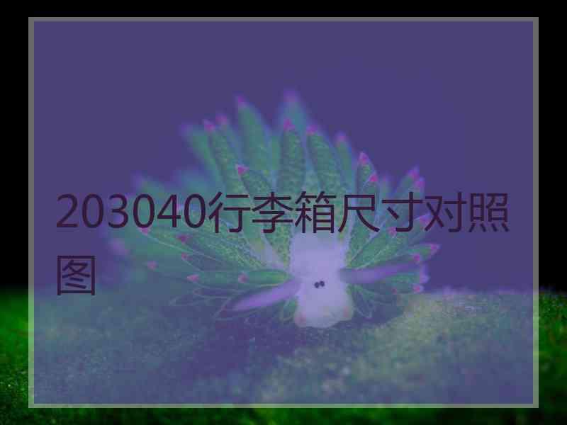 203040行李箱尺寸对照图