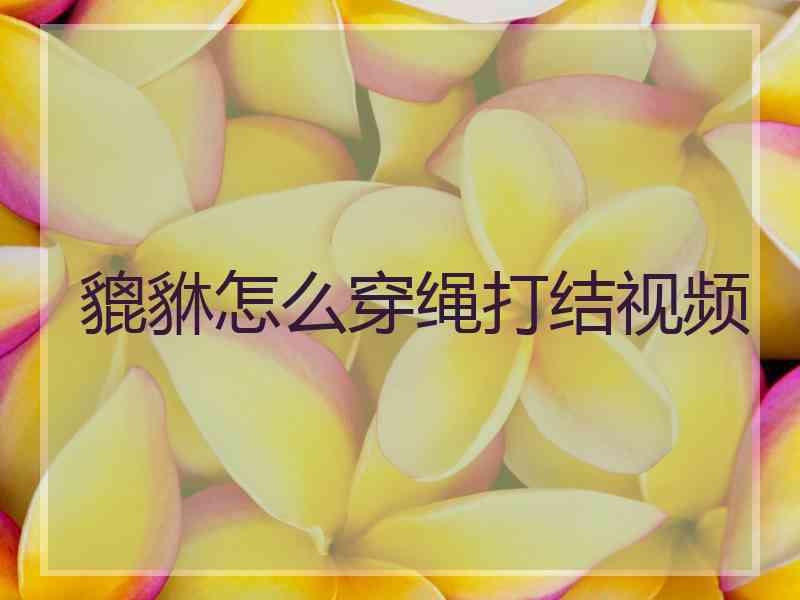 貔貅怎么穿绳打结视频