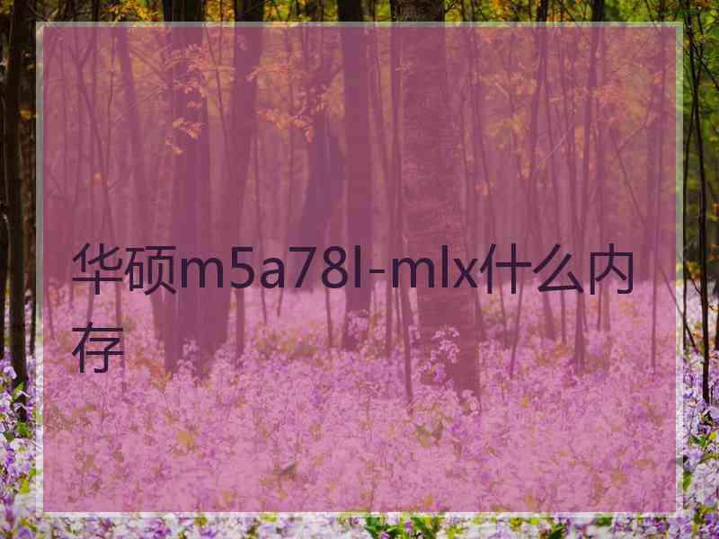 华硕m5a78l-mlx什么内存