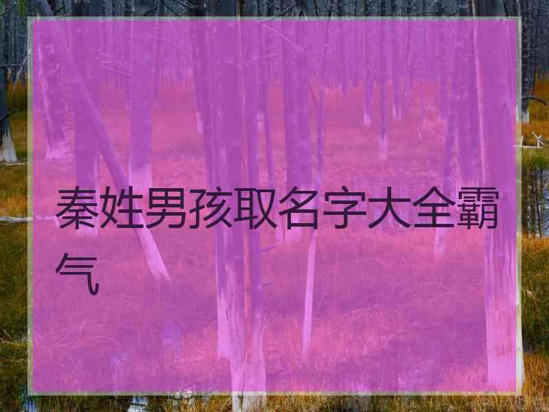 秦姓男孩取名字大全霸气