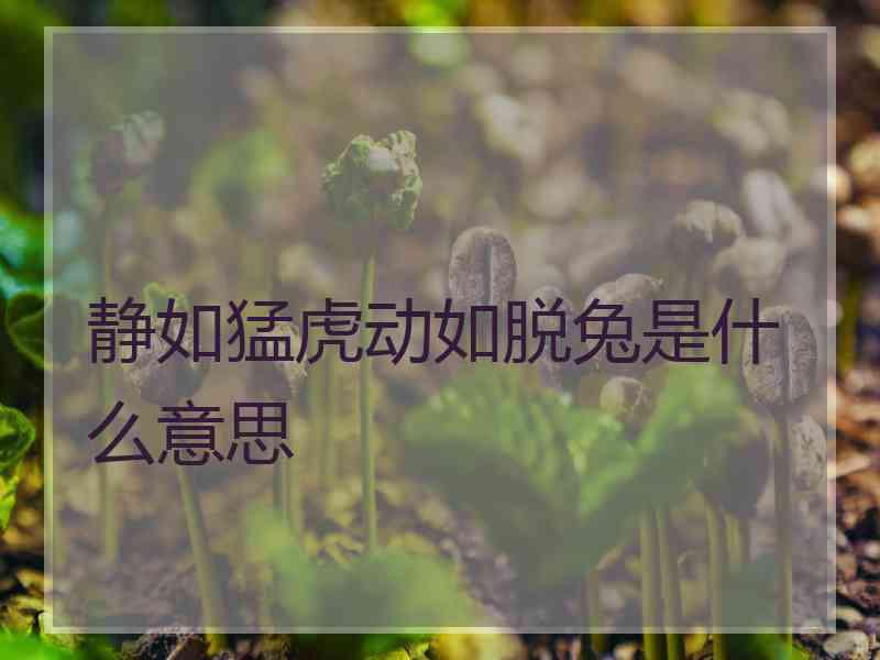 静如猛虎动如脱兔是什么意思