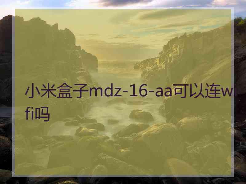 小米盒子mdz-16-aa可以连wifi吗