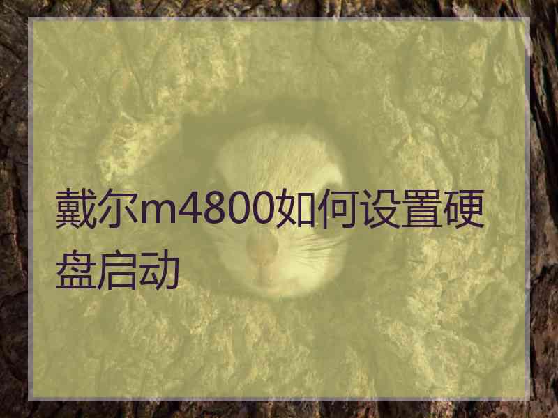 戴尔m4800如何设置硬盘启动