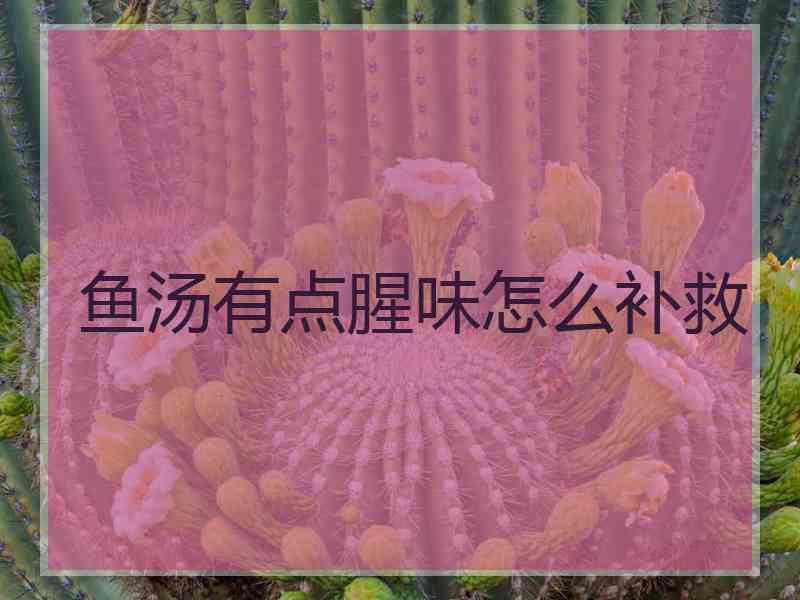 鱼汤有点腥味怎么补救