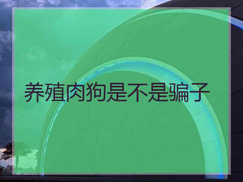 养殖肉狗是不是骗子