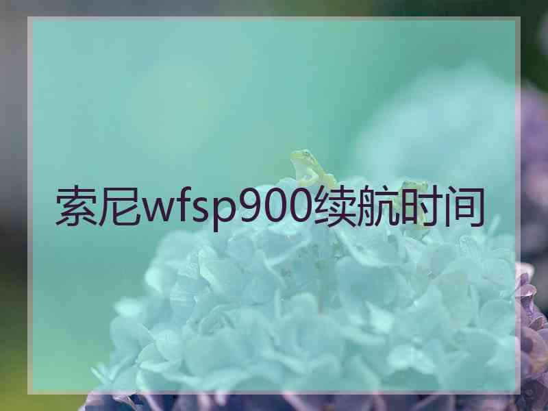 索尼wfsp900续航时间