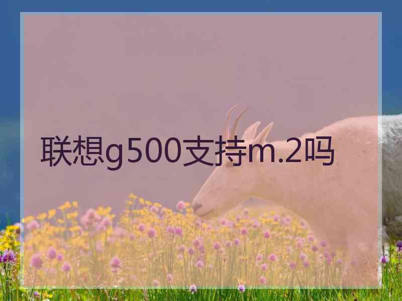 联想g500支持m.2吗