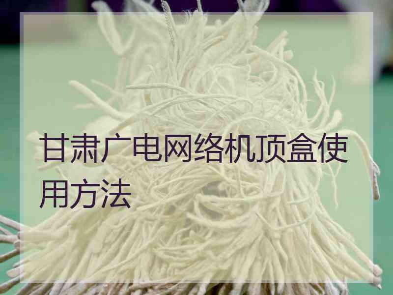 甘肃广电网络机顶盒使用方法