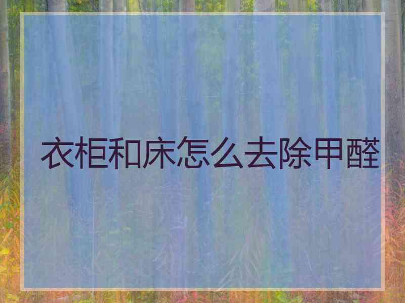 衣柜和床怎么去除甲醛