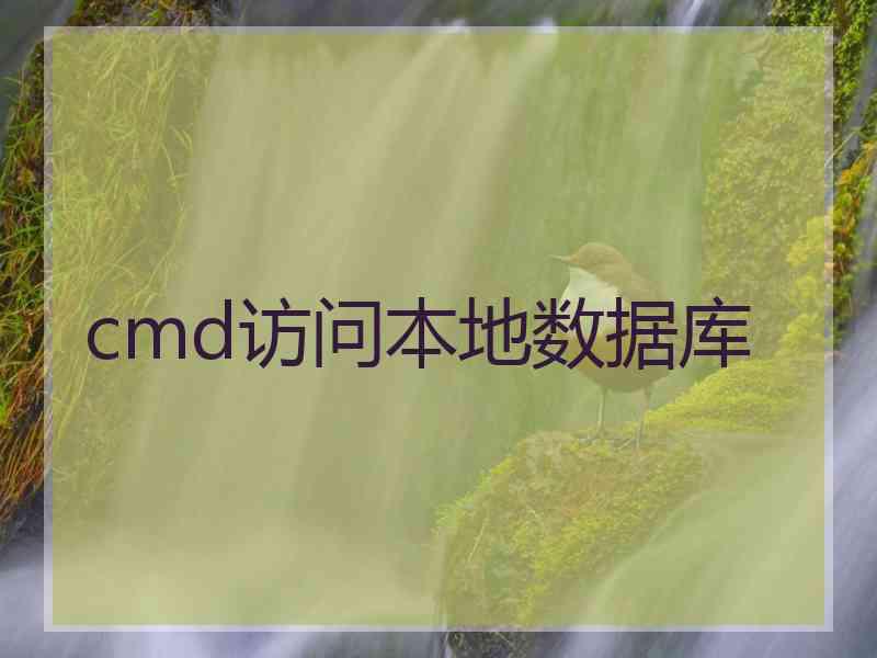 cmd访问本地数据库