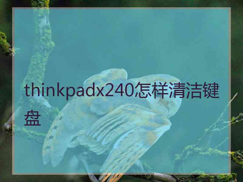 thinkpadx240怎样清洁键盘