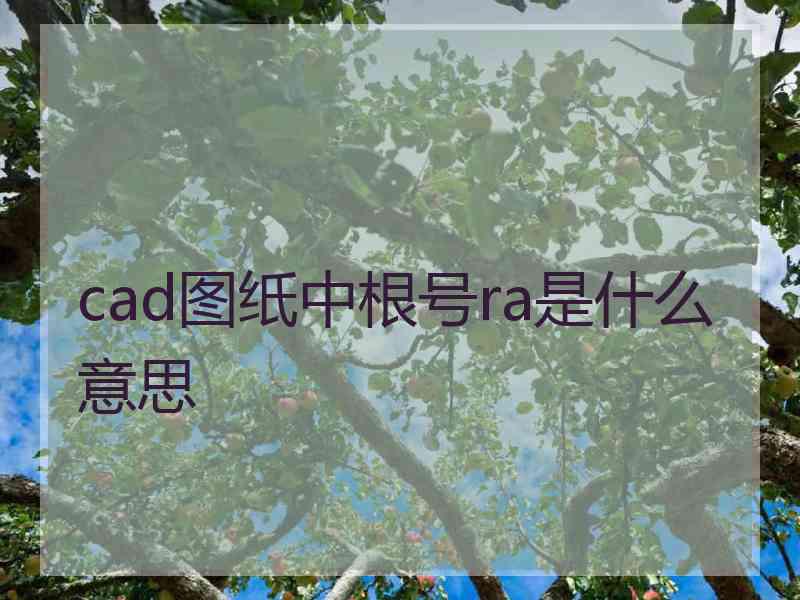 cad图纸中根号ra是什么意思