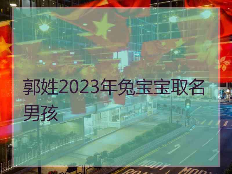 郭姓2023年兔宝宝取名男孩