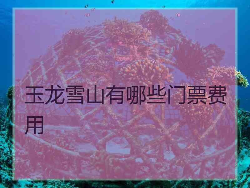 玉龙雪山有哪些门票费用