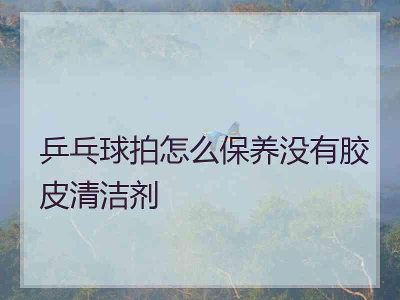 乒乓球拍怎么保养没有胶皮清洁剂