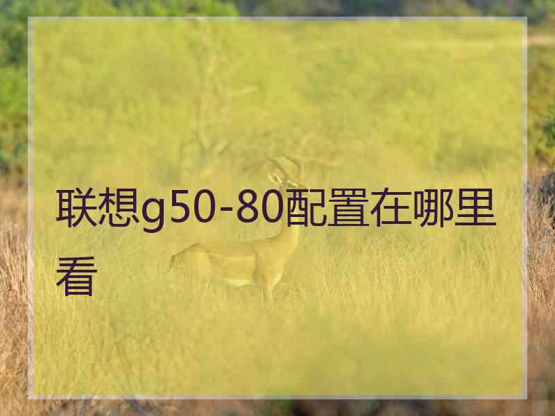 联想g50-80配置在哪里看