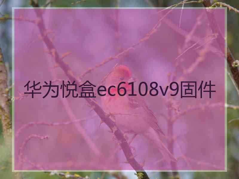 华为悦盒ec6108v9固件