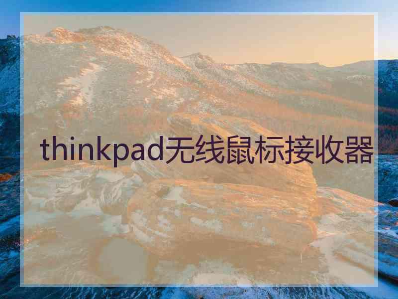 thinkpad无线鼠标接收器