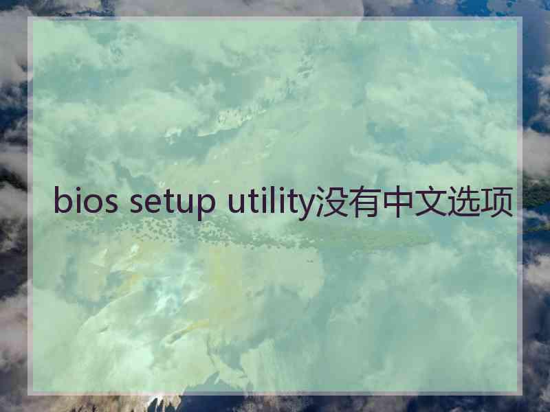 bios setup utility没有中文选项