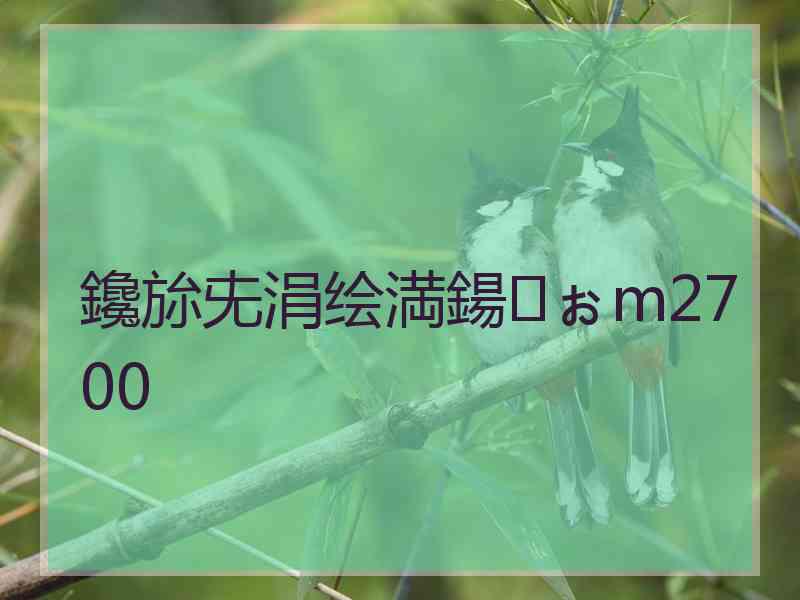 鑱旀兂涓绘満鍚ぉm2700