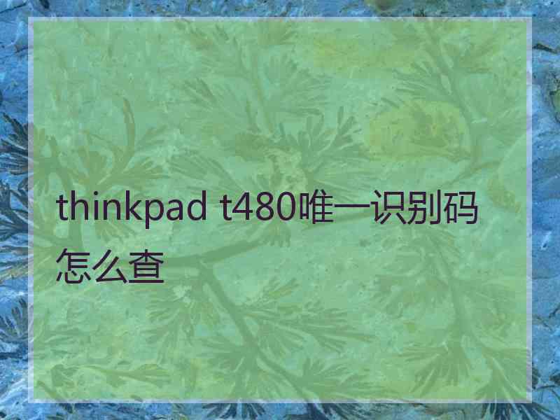 thinkpad t480唯一识别码怎么查