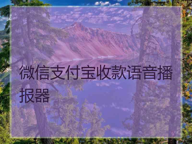 微信支付宝收款语音播报器