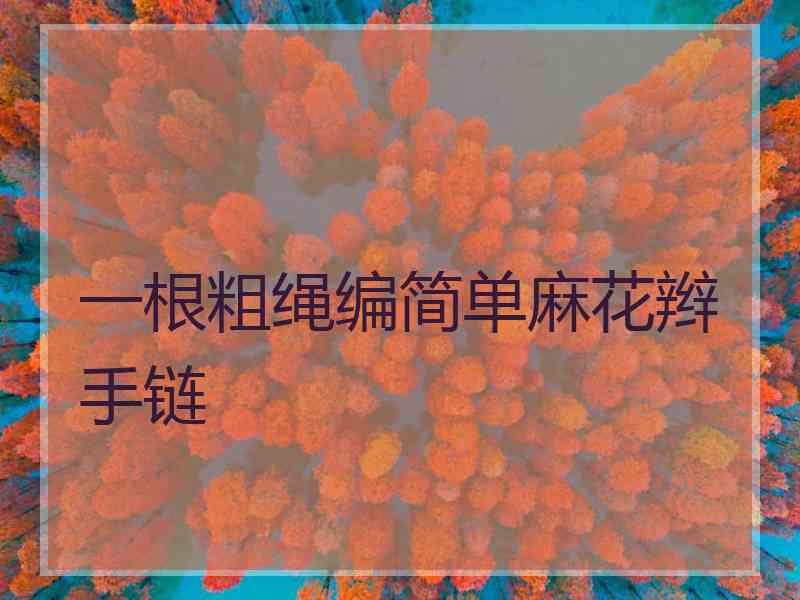 一根粗绳编简单麻花辫手链