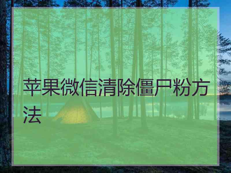 苹果微信清除僵尸粉方法