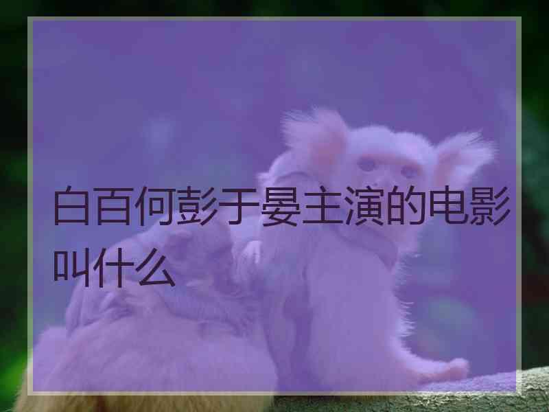 白百何彭于晏主演的电影叫什么