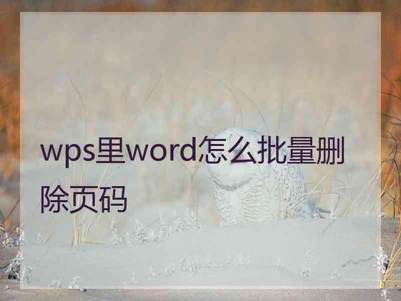 wps里word怎么批量删除页码