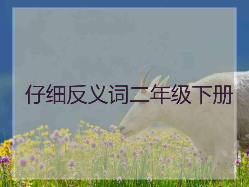 仔细反义词二年级下册