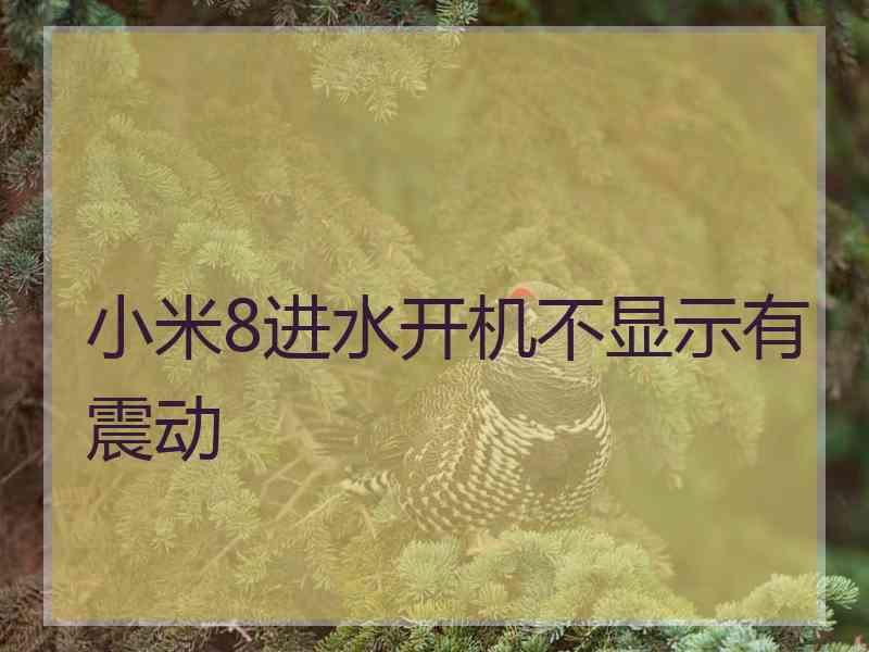 小米8进水开机不显示有震动