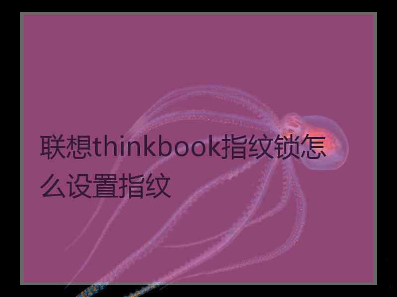 联想thinkbook指纹锁怎么设置指纹