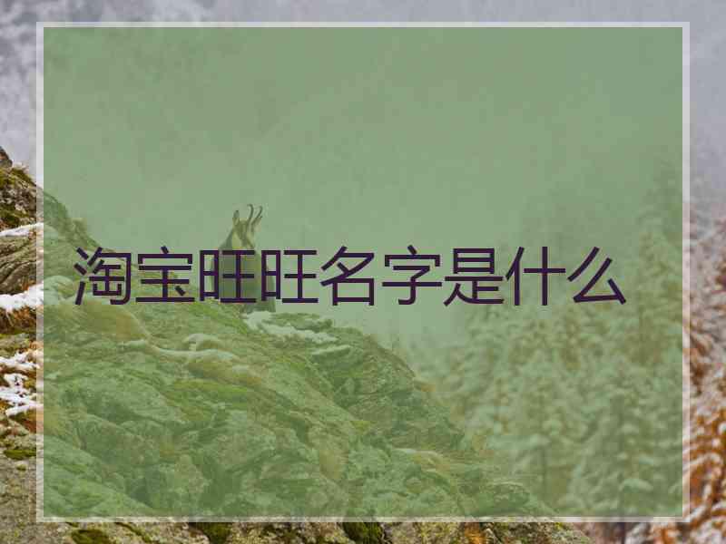 淘宝旺旺名字是什么