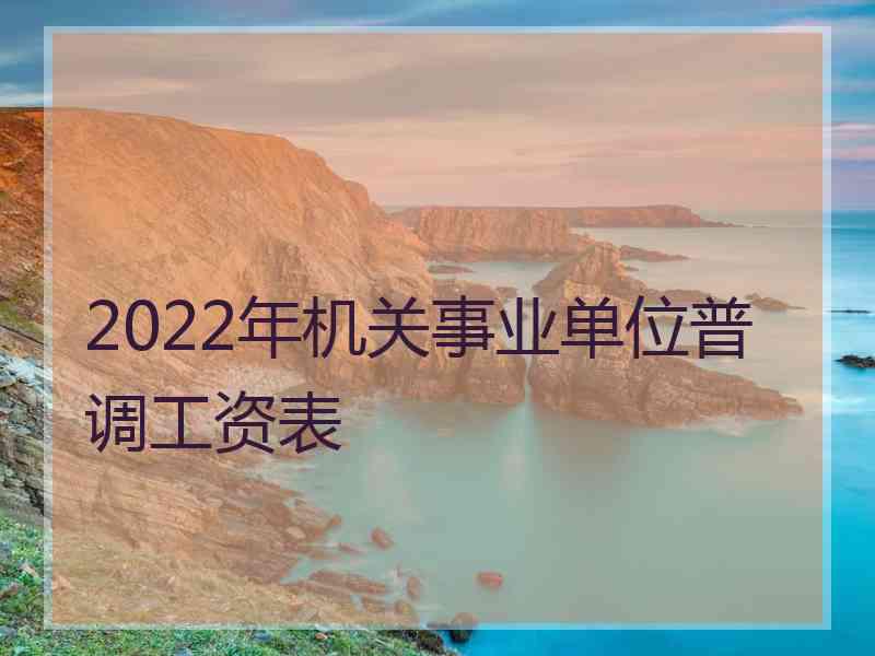 2022年机关事业单位普调工资表